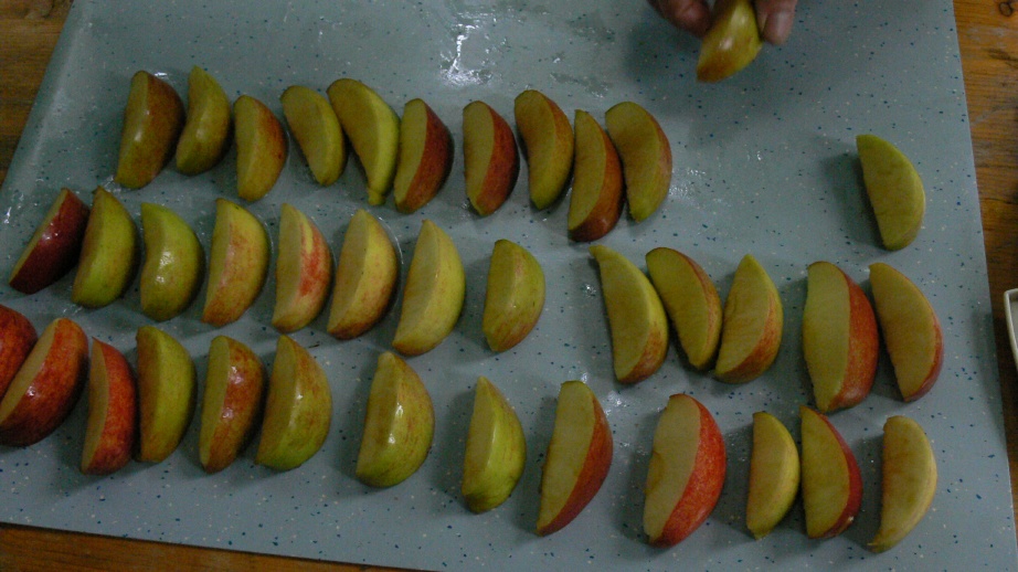 P1100307.JPG