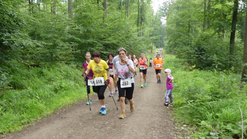 P1130054.JPG